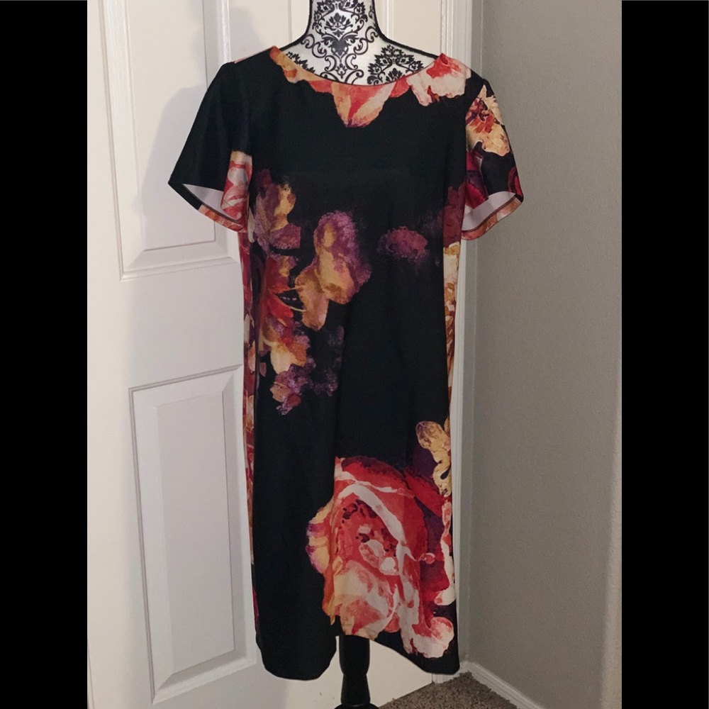 Taylor Dresses Beautiful sheath dress